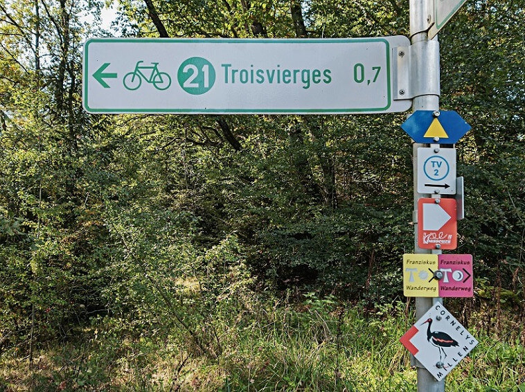 luxemburg-sportenbewegen.jpg